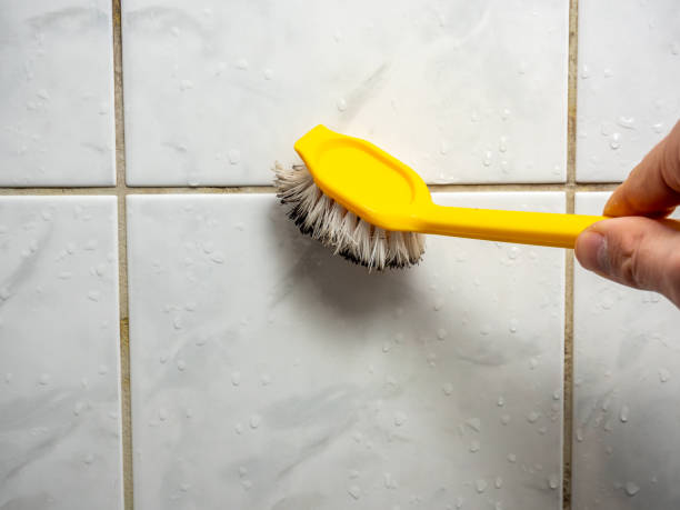Best Certified Mold Removal  in Port Allen, LA