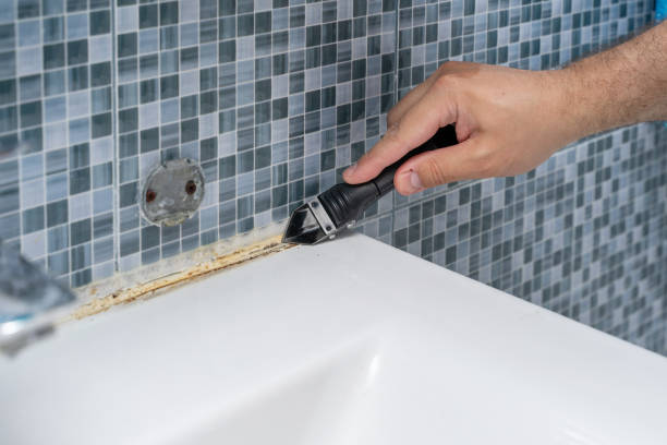Best Home Mold Removal  in Port Allen, LA