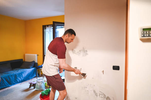 Professional Mold Removal in Port Allen, LA